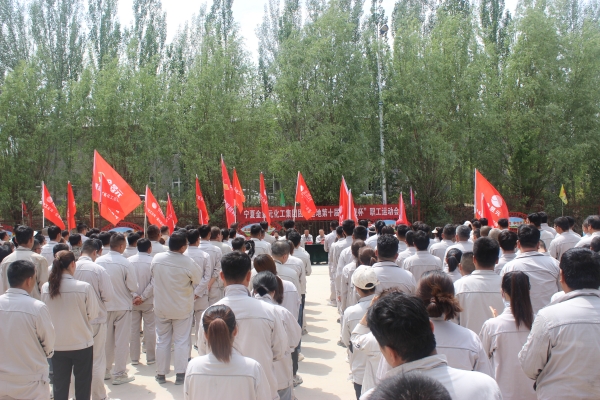 青春無(wú)限  激情綻放——寧夏金